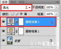 利用Photoshop图案工具加强照片效果11