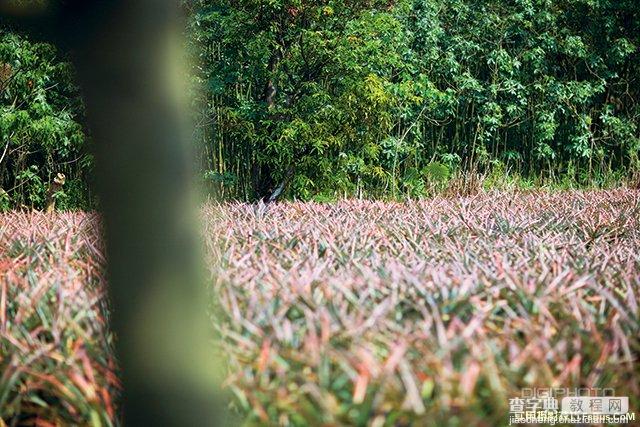 掌握相机设定，4招轻松拍出好风景4