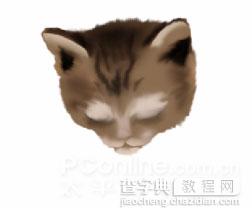 Photoshop鼠绘教程：可爱的小猫5