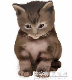 Photoshop鼠绘教程：可爱的小猫26