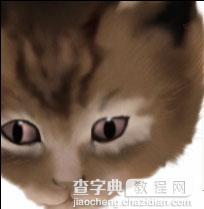 Photoshop鼠绘教程：可爱的小猫16