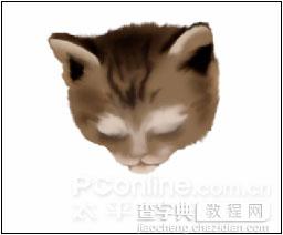 Photoshop鼠绘教程：可爱的小猫6