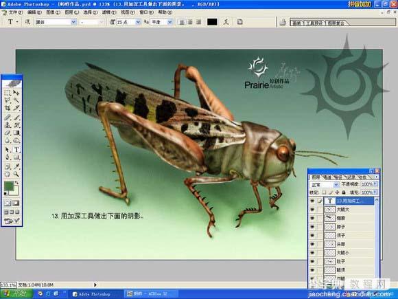 PS绘制蚂蚱教程14