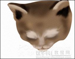 Photoshop鼠绘教程：可爱的小猫3