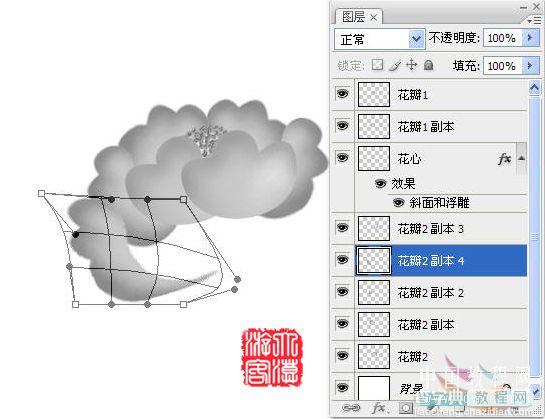 PS鼠绘牡丹花11