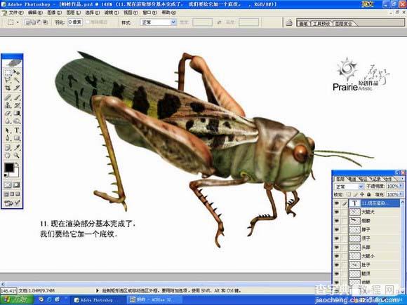 PS绘制蚂蚱教程12