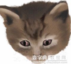 Photoshop鼠绘教程：可爱的小猫17