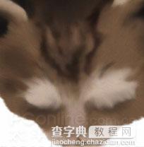 Photoshop鼠绘教程：可爱的小猫10