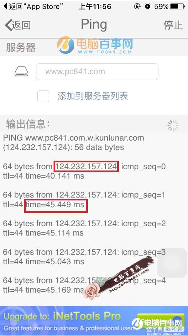 iPhone怎么ping测试4