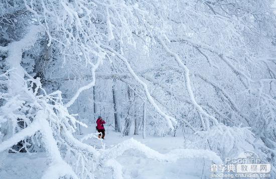 教你如何用简招拍雪景11