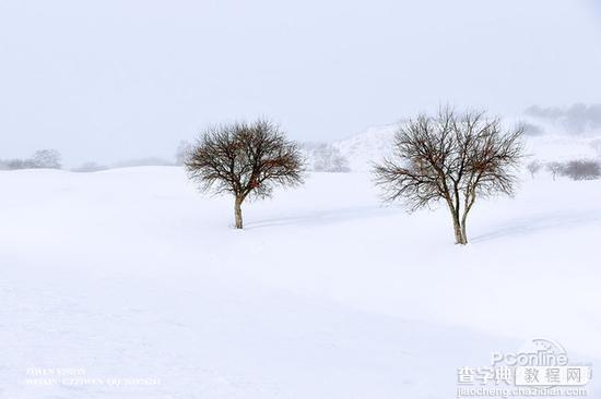 教你如何用简招拍雪景9