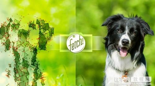 微软Fetch!怎么玩1