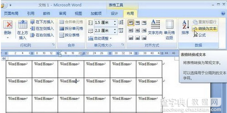 Word 2007如何将表格转换为文本1