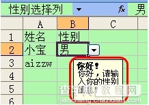 如何为Excel工作表设置表格定义11