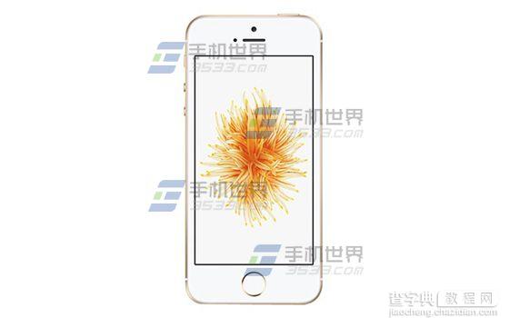 苹果iPhoneSE应用图标大小怎么切换1