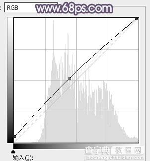 Photoshop为铁轨人物图片打造梦幻的蓝褐色效果14