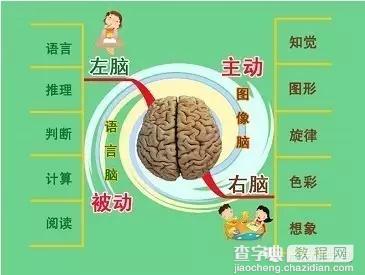 从大脑谈起 学用思维导图梳理思想1