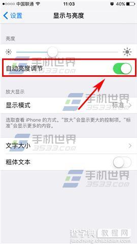 苹果iPhoneSE自动亮度调节关闭方法3
