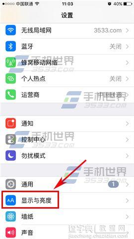 苹果iPhoneSE自动亮度调节怎么关闭2