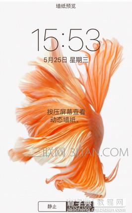 iphone动态壁纸不动怎么办3