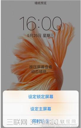 iphone动态壁纸不动怎么办4