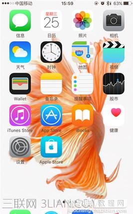 iphone动态壁纸不动怎么办5