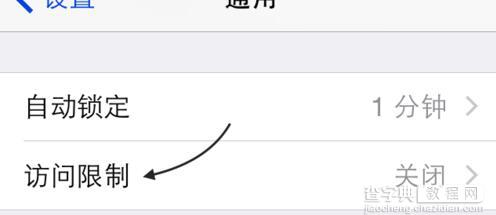 iPhone怎么设置应用访问限制?3