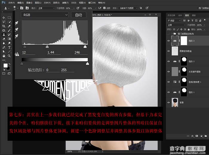 Photoshop快速把黑发变成高质感白发9