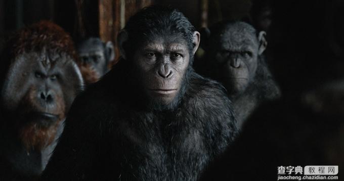 《猩球崛起2》是如何把一群猩猩拍的这么好看的！2