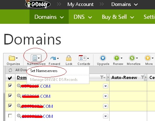 最新2014年godaddy批量修改DNS图文教程2