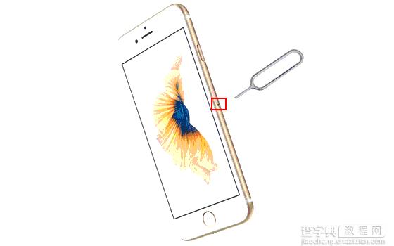 苹果iPhone7插SIM卡方法1