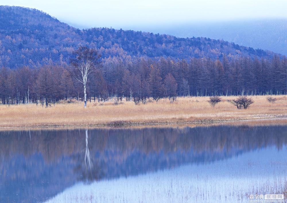 教你如何拍摄最美的秋天树叶风景3