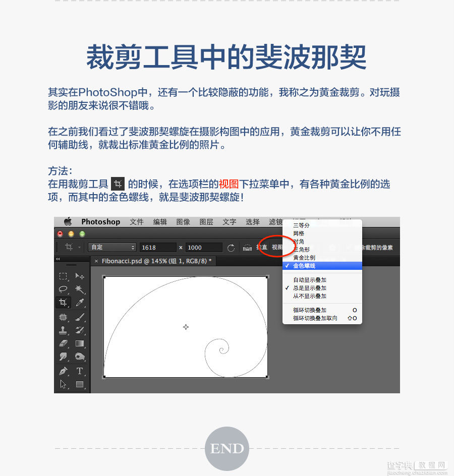 PS教你绘制精确的斐波那契螺旋！20