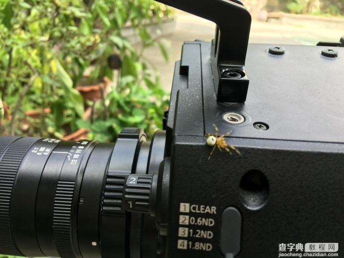 松下VariCam LT拍摄微距,感受强大的原生ISO 5000！9