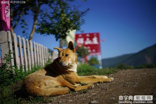 大光圈定焦头 索尼FE 50mm F1.8评测34