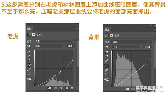 PS合成夜色中的女孩和巨型老虎场景9