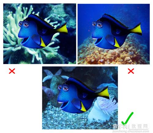 Photoshop合成可爱健忘的Dory20