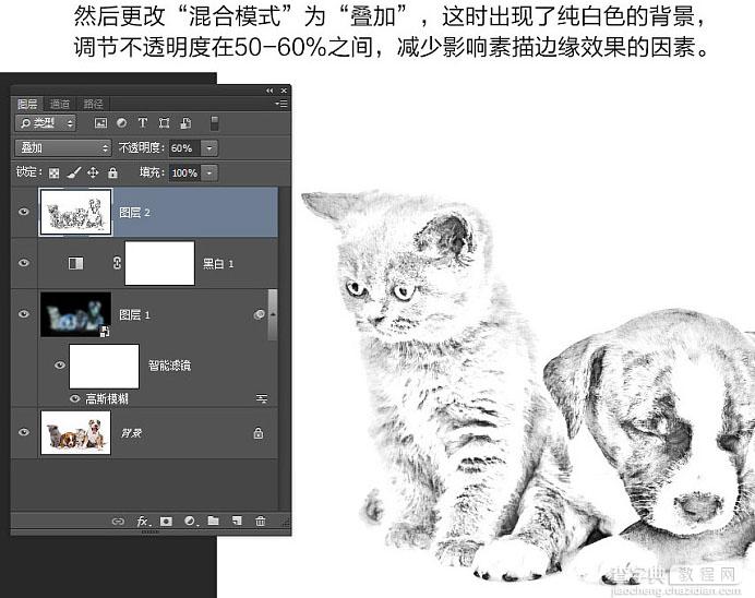 Photoshop把照片转为素描效果13