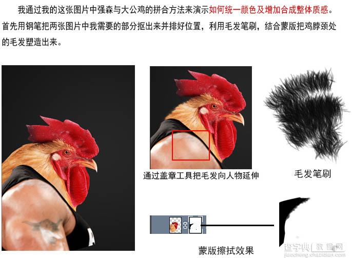 PS合成逼真雄壮公鸡图片4