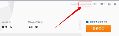 淘宝店铺怎么查看直通车id? 查看淘宝店铺id的教程5