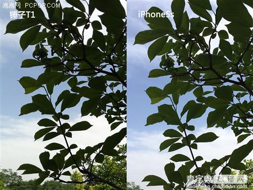 锤子手机和iphone5s哪款拍照效果好 锤子T1与iPhone5s拍照对比样张图解11