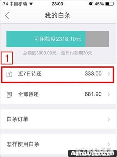 京东白条怎么还款?京东白条还款方法分享4