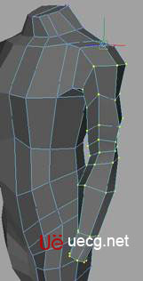 MAYA建立人体躯干的建模教程20