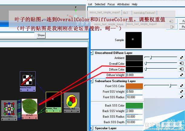 MAYA SSS制作真实的绿色植物材质教程10