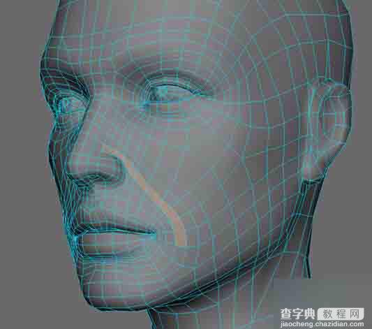 MAYA制作合理且足够的人头布线12