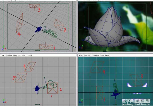 MAYA7.0打造漂亮的荷花材质3