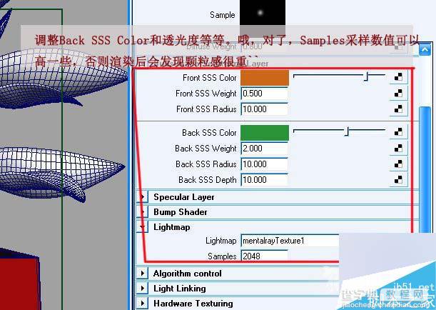 MAYA SSS制作真实的绿色植物材质教程11