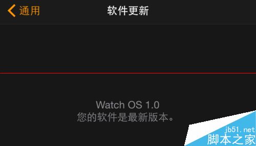 Apple Watch固件系统怎么更新升级？6