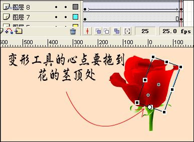 FlashMX制作漂亮娇艳的鲜花情人贺卡4