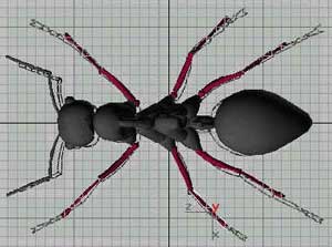 蚂蚁实例--深入了解3DMAX建模技术（下）16